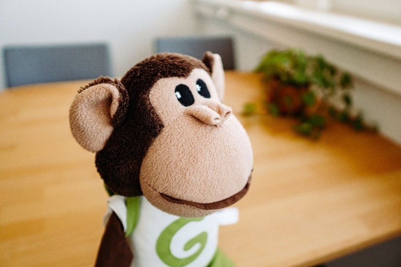 Gymnathlon Foundation Max